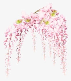 Transparent Background Flowering Vines Png, Png Download, Transparent PNG