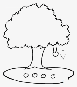 Apple Tree Black And White Cartoon Illustration Of Apple Tree For Apple Tree Black And White Cartoon Illustration Of Apple Tree For