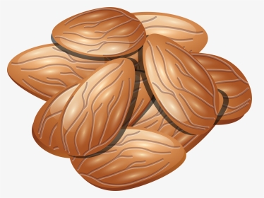 Almond Png - Almond Icon Png, Transparent Png, Transparent PNG