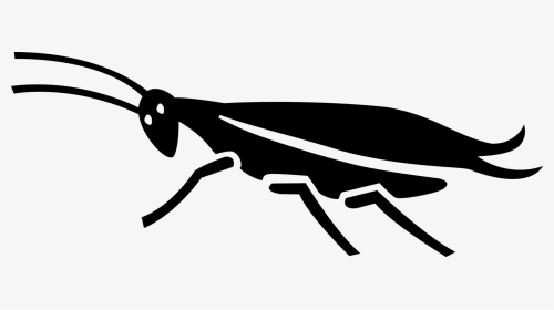 Vector Illustration Of Cockroach Insect With Long Antennae - Net-winged Insects, HD Png Download, Transparent PNG