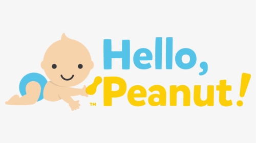 Nuts Clipart Little Peanut, HD Png Download, Transparent PNG