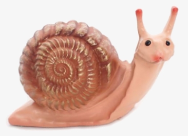 Snail Small - Snail, HD Png Download, Transparent PNG