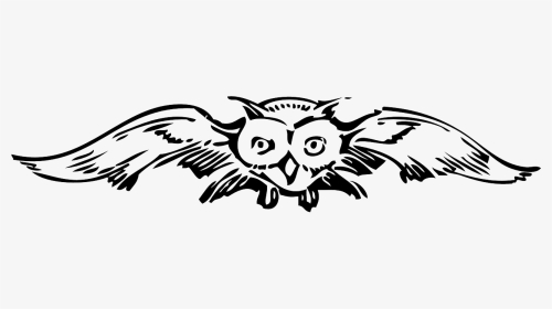Flying Owl Clip Art, HD Png Download, Transparent PNG