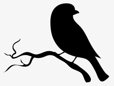 क्वील-uk Academe - Fish Crow, HD Png Download, Transparent PNG