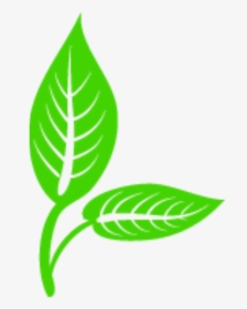 Clip Art Cartoon Psd - Vector Logo Leaf Png, Transparent Png, Transparent PNG