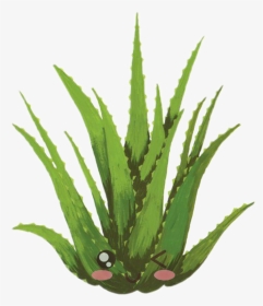 #kawaii #lindo #cute #aloevera - Draw An Aloe Vera Plant, HD Png Download, Transparent PNG