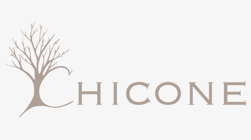 Chicone Llc - Calligraphy, HD Png Download, Transparent PNG
