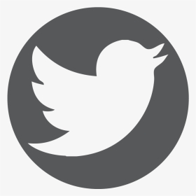 Logo Twitter 2019 Png, Transparent Png, Transparent PNG