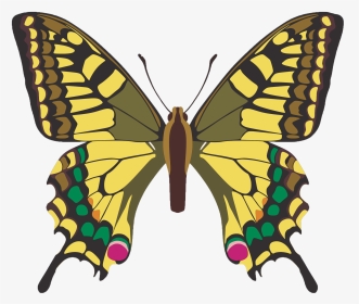 Butterfly Clip Art Png, Transparent Png, Transparent PNG