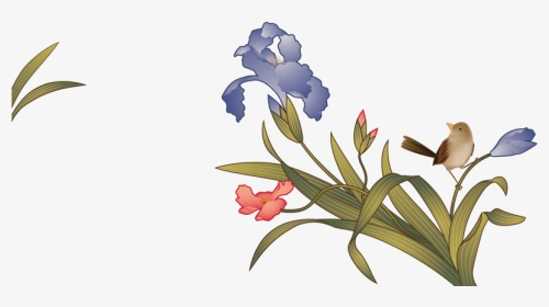 兰花绿植盆栽植被装饰花卉实物摄影 - Iris, HD Png Download, Transparent PNG
