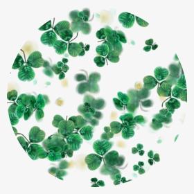 #clovers #green #circle #background ☘️ #freetoedit - Craft, HD Png Download, Transparent PNG