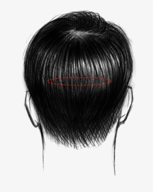 Lace Wig, HD Png Download, Transparent PNG