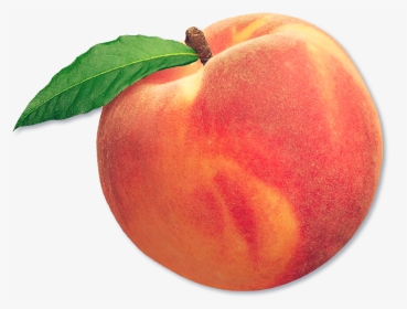 #peach #fruit #aesthetic #freetoedit - Fruit Peach, HD Png Download, Transparent PNG