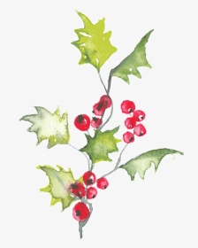 Holly Leaves Watercolor Png, Transparent Png, Transparent PNG