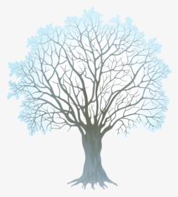 2016 Dbclipart Clipartall - Winter Tree Clipart, HD Png Download, Transparent PNG