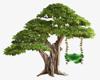 #tree #swing #treeswing - Plant Tissue In Hindi, HD Png Download, Transparent PNG