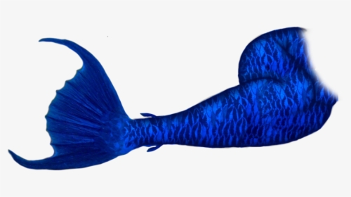 Fish Clipart Mermaid - Mermaid Tails Png, Transparent Png, Transparent PNG