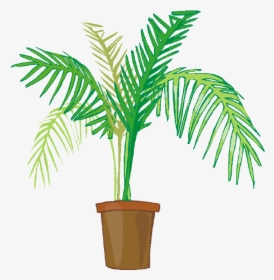 Indoor Potted Plants - Palm Plant Clip Art, HD Png Download, Transparent PNG