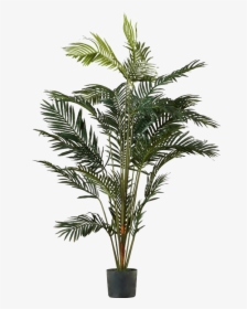 Palm Tree Png Image Transparent - Palm Tree Pot Transparent Background, Png Download, Transparent PNG