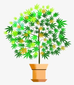 Plant,flower,leaf - Houseplant, HD Png Download, Transparent PNG