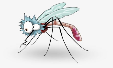 Mosquito Insect Clip Art Clipart Transparent Background Mosquito
