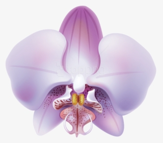 Purple,violet,moth Orchid,symmetry,clip Art,flowering - Orquideas Lilas Png, Transparent Png, Transparent PNG