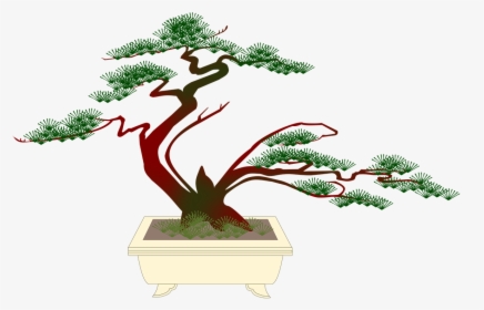 Bonsai Miniature Pine Free Picture - Bonsai, HD Png Download, Transparent PNG