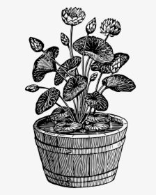 Potted Plant 10 Clip Arts - Black And White Potted Plant, HD Png Download, Transparent PNG