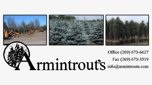 Coniferous Evergreen Tree Farm In Michigan Midwest - Armintrout's Nursery, HD Png Download, Transparent PNG