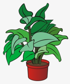 Plant,flower,leaf - Clipart Of A Plant, HD Png Download, Transparent PNG