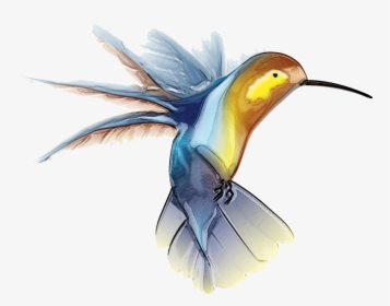 Hummingbird Tattoo - Free Hummingbird Clip Art, HD Png Download, Transparent PNG