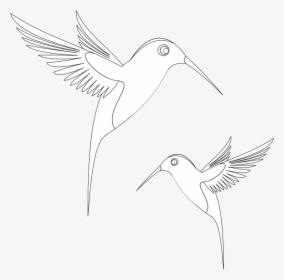 Colibri Birds Black White Line Art Coloring Book Colouring - Coloring Book, HD Png Download, Transparent PNG