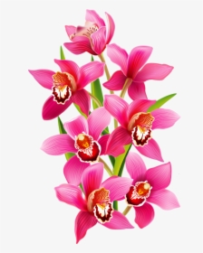 Tiny Clip Orchid, HD Png Download, Transparent PNG