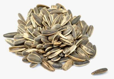 Download Sunflower Seeds Png Picture - Vitamin E For Infertility Women, Transparent Png, Transparent PNG