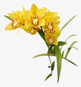 Flower Orchids Garden Roses Clip Art - Transparent Yellow Flowers Png, Png Download, Transparent PNG