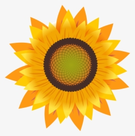 Common Sunflower Drawing Sunflower Seed, HD Png Download, Transparent PNG