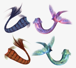 Mermaid, Mermaids, Tail, Fantasy, Fairytale, Fish - Mermaid Tail Fantasy, HD Png Download, Transparent PNG