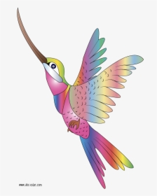 Hummingbird Clipart Embroidery Digitizing - Imágenes De Colibrí Animado, HD Png Download, Transparent PNG