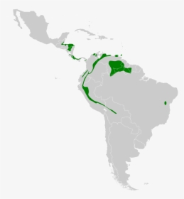 Latin America Map Svg, HD Png Download, Transparent PNG