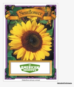 Sunflowers Png High Re - Packet Of Seeds, Transparent Png, Transparent PNG