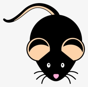 Researchers Study Mohawk Mice With Genetic Mutation - Black Mouse Clipart, HD Png Download, Transparent PNG