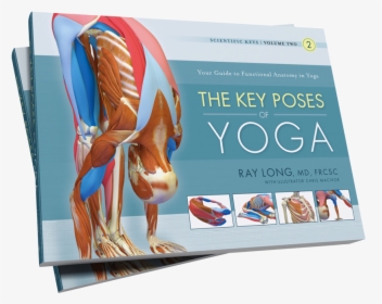 Key Muscles Of Yoga Book, HD Png Download, Transparent PNG