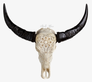 Cattle Horn Animal Skulls Water Buffalo - Engraved Buffalo Skull, HD Png Download, Transparent PNG