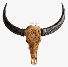 Bull, HD Png Download, Transparent PNG