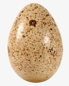 Eggs Png Picture - Huevo De Codorniz Png, Transparent Png, Transparent PNG