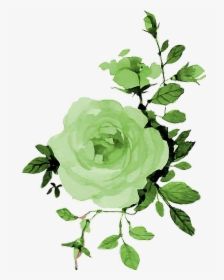 #green #rose #rosa #flowers #flores #watwecolor #lovewatercolors - Hello September Wallpaper Iphone, HD Png Download, Transparent PNG