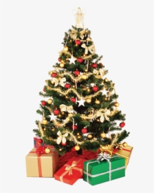 Christmas Tree Png - Christmas Tree Png Transparent, Png Download, Transparent PNG