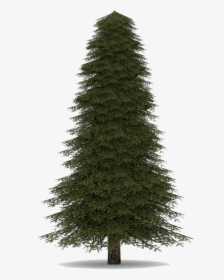 Download Fir Tree Png Image, Transparent Png, Transparent PNG