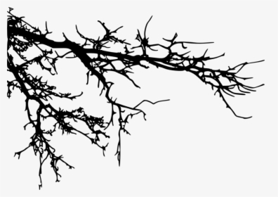 Transparent Tree Branch Clipart Black And White - Tree Branches Silhouette Png, Png Download, Transparent PNG