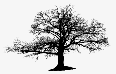 The Lonely Tree Silhouette - Burned Tree Black And White, HD Png Download, Transparent PNG